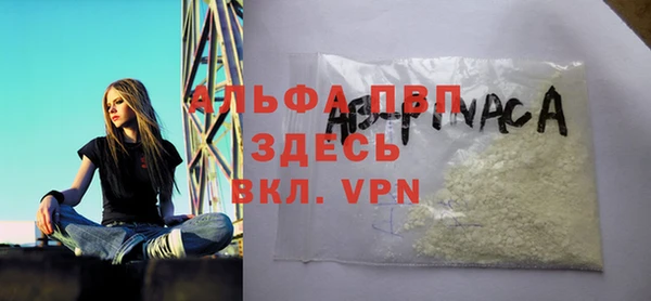 дмт Каменногорск