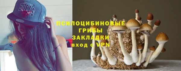 сатива Каменск-Шахтинский
