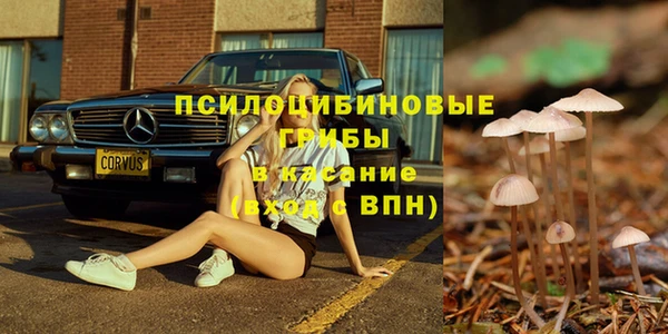 дмт Каменногорск