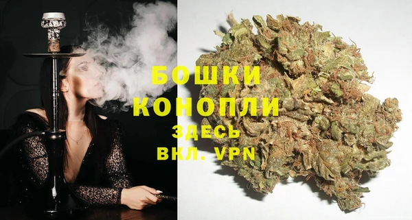 дмт Каменногорск