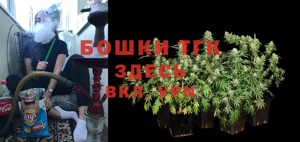 mdpv Каменка