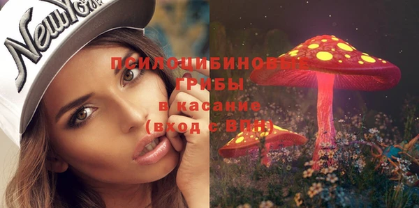 сатива Каменск-Шахтинский