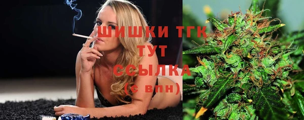 дмт Каменногорск