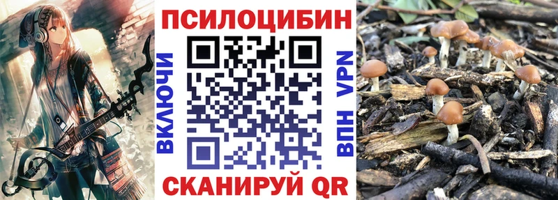 Купить где  Владикавказ  Псилоцибиновые грибы Magic Shrooms 